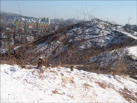 29일 새벽 건설회사에 의해 잘려나간 성미산 정상 